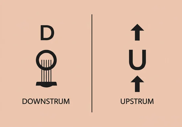 Infographic of guitar downstrum and upstrum notation.